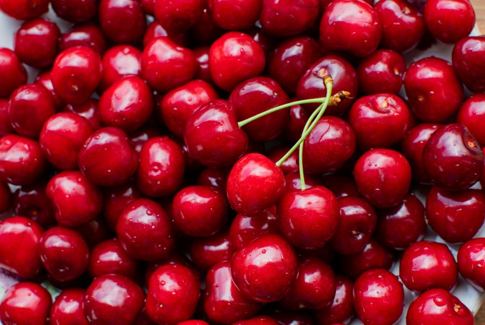 Fresh export cherries